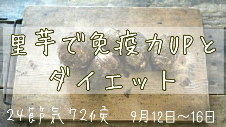 【第44候】免疫力UPとダイエットに効果的！里芋の素晴らしい栄養素とは！？