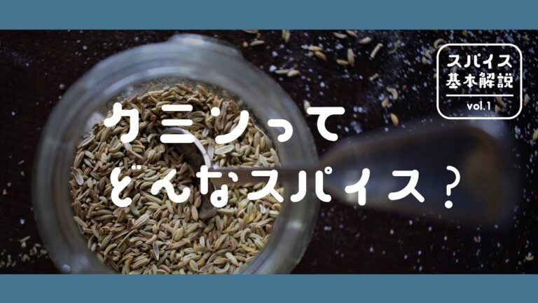 クミンってどんなスパイス？ 【ビギナーのためのスパイス基本解説 vol.1】