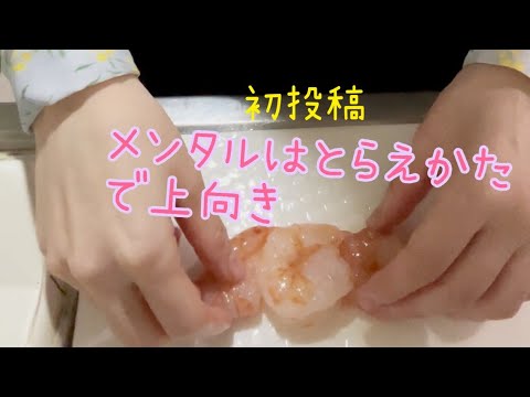 メンタルは捉え方を変えるだけ！えび生春巻きを作って食べる