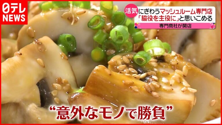 【一点勝負の専門店】マッシュルーム料理&ペットの悩み“無料相談”&地図専門店