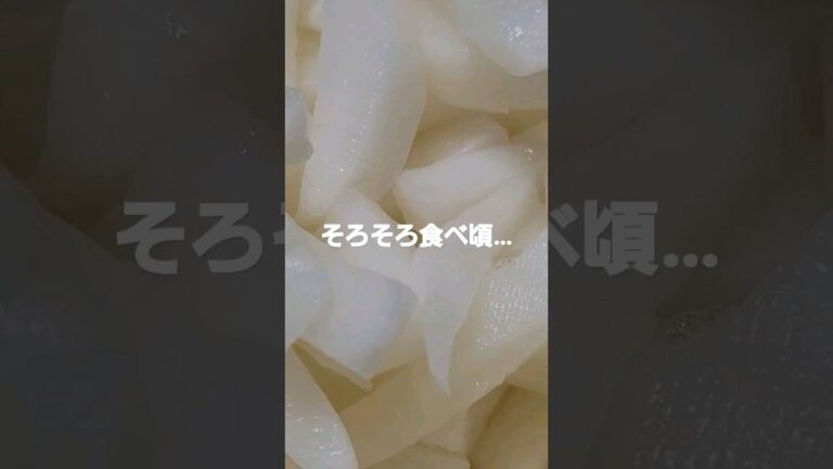 大根の酢漬け