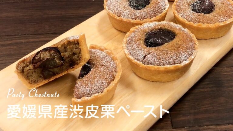 愛媛県産渋皮ペースト