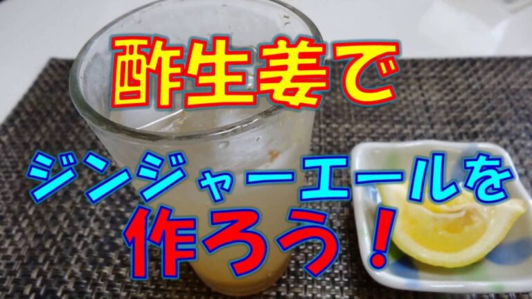 酢生姜でジンジャーエールを作ろう！【家庭で簡単に作れる】