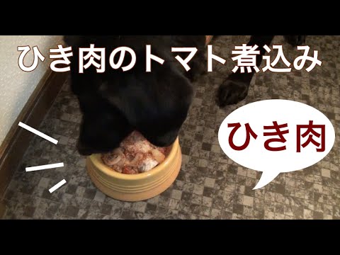 犬ご飯つくり方から：牛豚合挽き肉とキャベツ、じゃがいものトマト煮込み