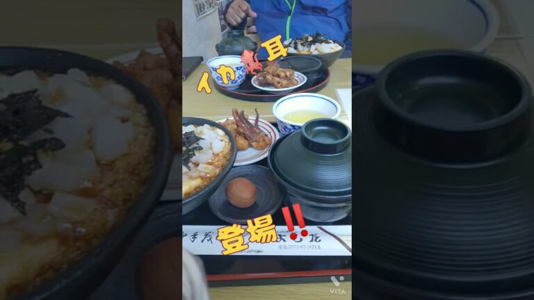 #ドライブインよしだ   #名物イカ丼  #ショート