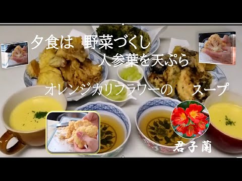 夕食は野菜の天ぷら　人参の葉　舞茸　あおさのとり天　オレンジカリフラワースープ
