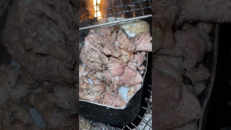 【炭火】ねぎ塩カルビ丼たべる！【冬キャンプ飯】