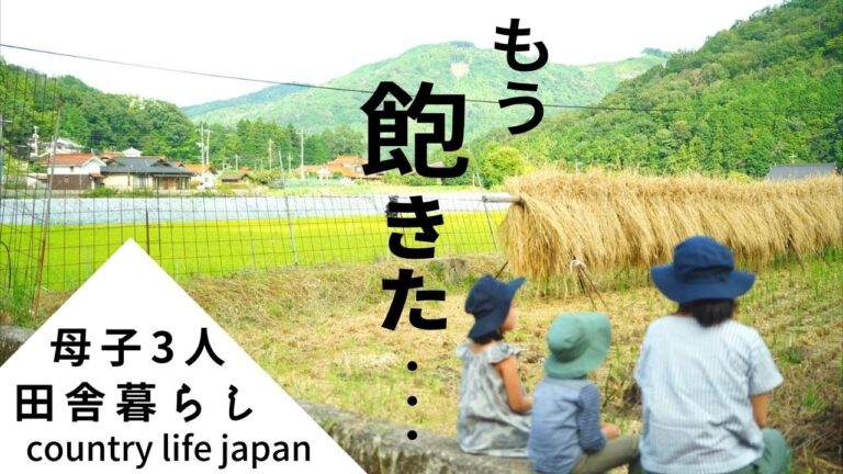 【田舎暮らし】マンネリおかず子供の好物に大変身/暮らしの道具棕櫚ほうき/秋の畑/おやき