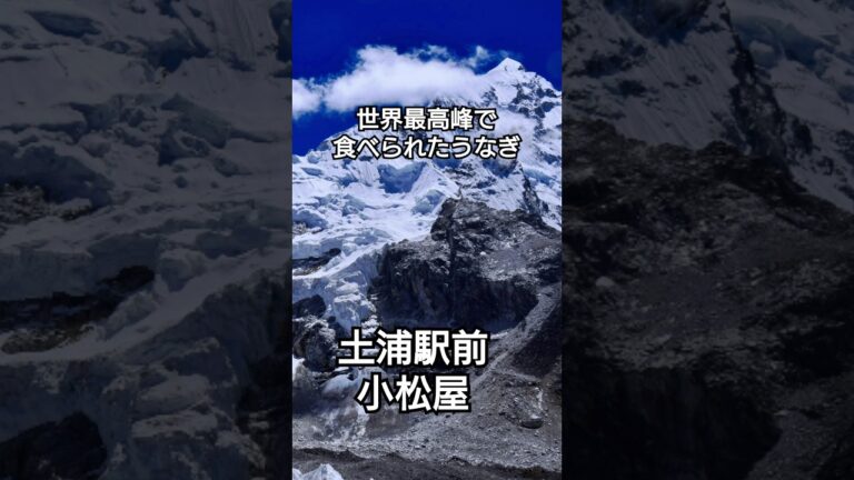 ＼小松屋 佃煮とうなぎ／世界最高峰で食べられた？うなぎ #土浦 #ランチ #茨城グルメ #グルメ #鰻大好き #茨城県南 #ギフト #土浦ランチ #うな重 #japanesefood #japan