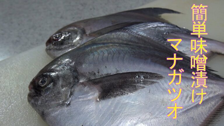 めっちゃ簡単【自家製味噌漬け】マナガツオ編