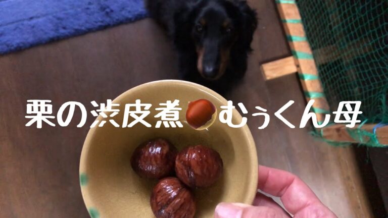 栗の渋皮煮🌰むぅくん母