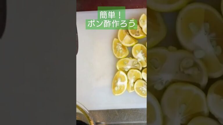 余った柑橘でポン酢