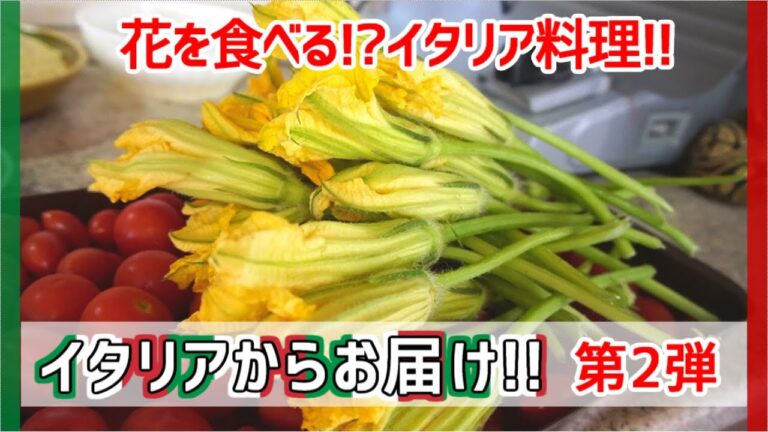 【イタリアからお届け 第二弾】花ズッキーニのフリット【Fiori di Zucchini Fritto】