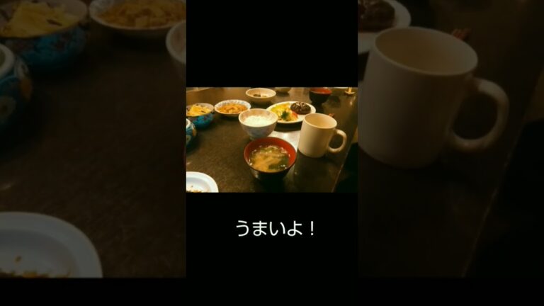 ハンバーグうまい！#shorts #しあわせのまゆチャンネル