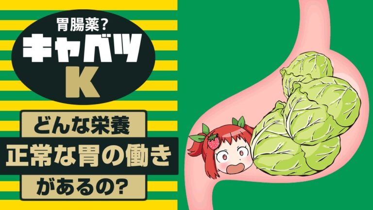 食前に食べるキャベツはメリットが多い！【ゆっくり解説】