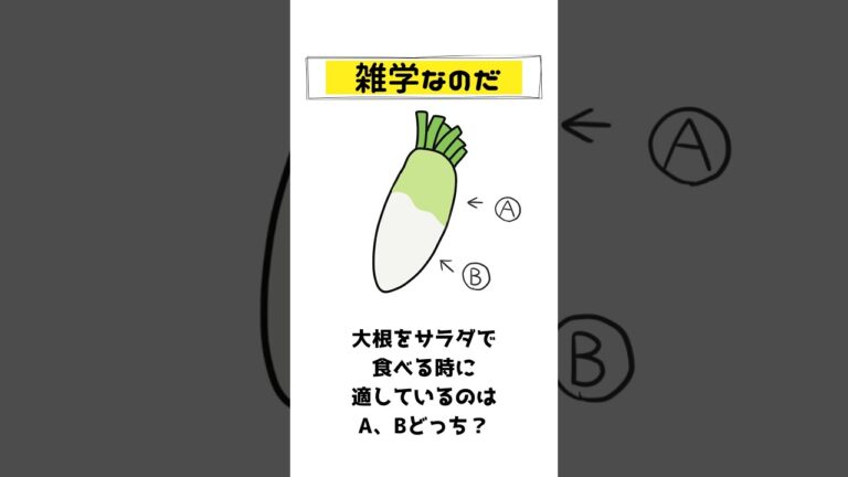 【雑学なのだ】大根サラダに向いているのは青首、根っこの方どっち？