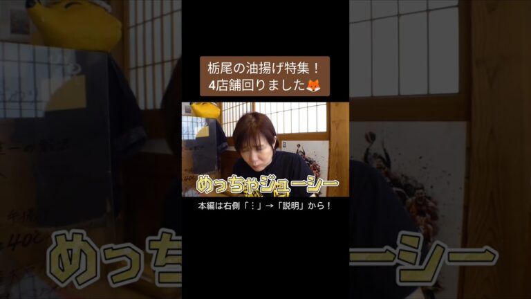 【新潟】栃尾の油揚げをひたすらハシゴ！4店舗回りました