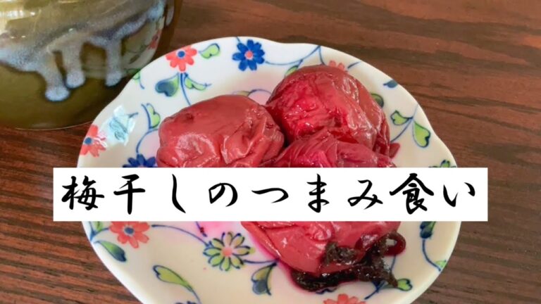 【年金暮らし】梅干しつまみ食い/失敗ハンバーグ/シニアvlog