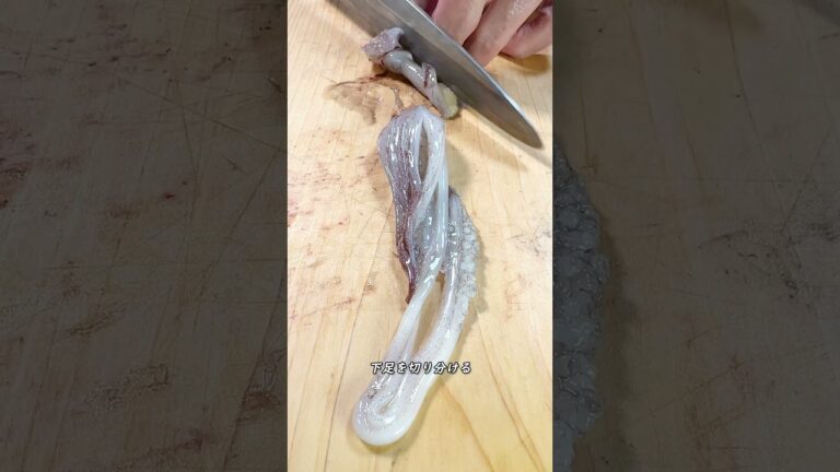 ヤリイカの黒造り丼 #shorts #squid