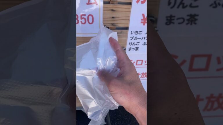 ロングポテト🍟