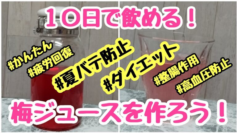 梅ジュース（梅シロップ）を作ろう！