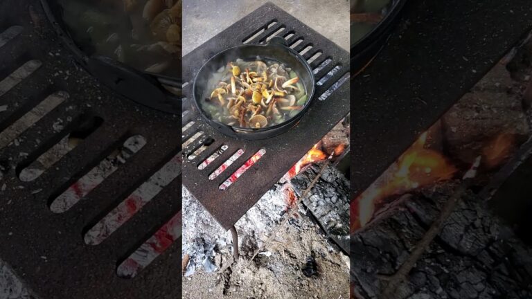 日光 源造石の里　きのこ汁完成！