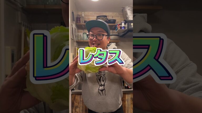 今日の春巻きvol68『レタス』