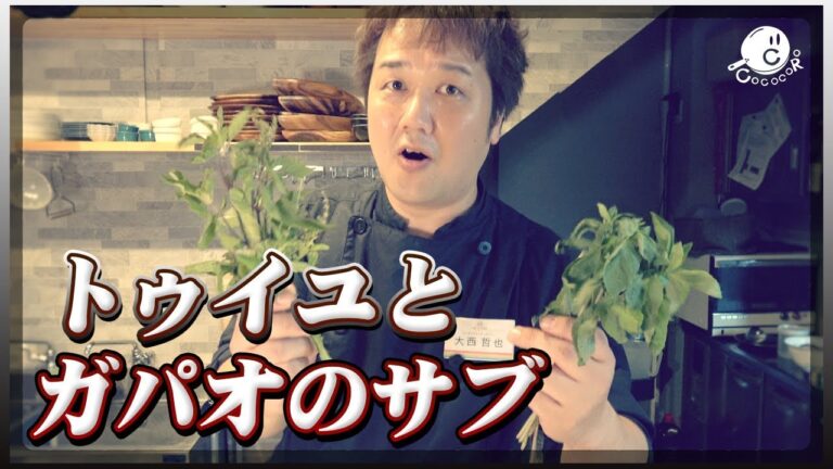 ラタトゥイユとガパオライスの補足情報なんてほぼない雑談のサブ【COCOCORO 2nd】