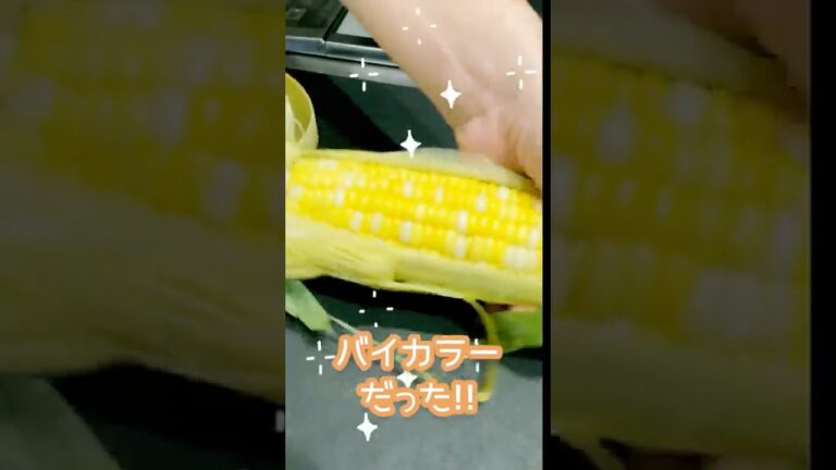 【簡単料理】30秒で分かる時短レシピ・とうもろこしの炊き込みご飯 #Shorts