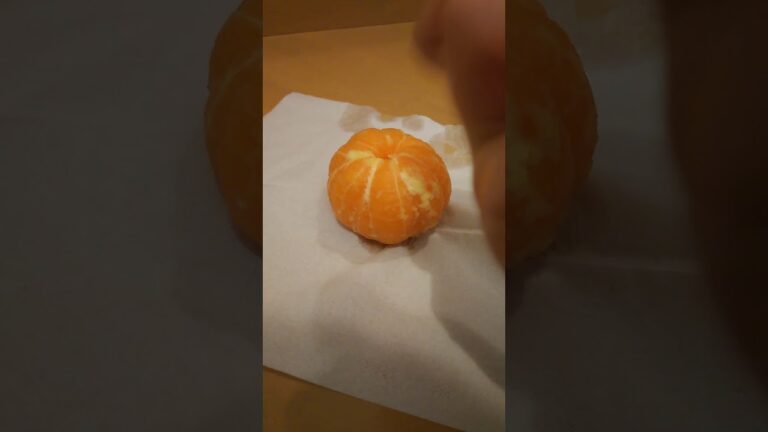 冷凍みかんを再現しようとしたら、カチカチになった