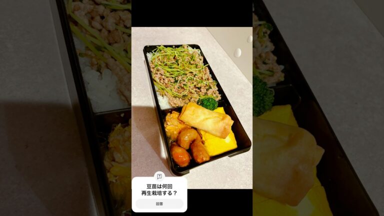のっけ弁当⭐︎夫に作る爆速弁当 #お弁当 #まいにちごはん #お弁当作り #料理 #夫弁当 #自炊 #わん弁当 #旦那さん弁当