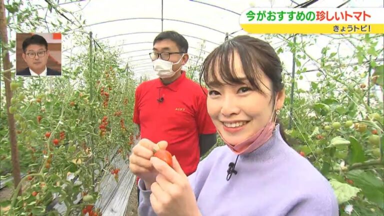 さくらんぼトマト！？今おすすめの珍しいトマトを使ったオススメ料理！｜きょうトピ！（2023年3月3日放送）