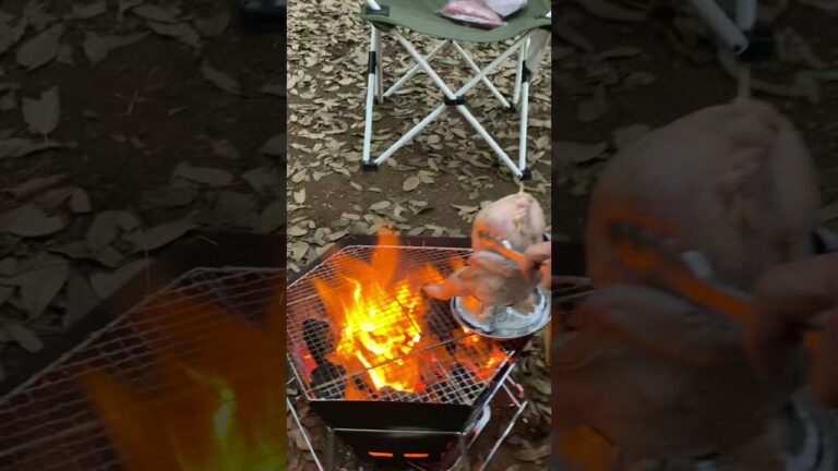 2021.05.15-16 丸鶏