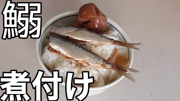 【料理】イワシの煮付け【日本料理】