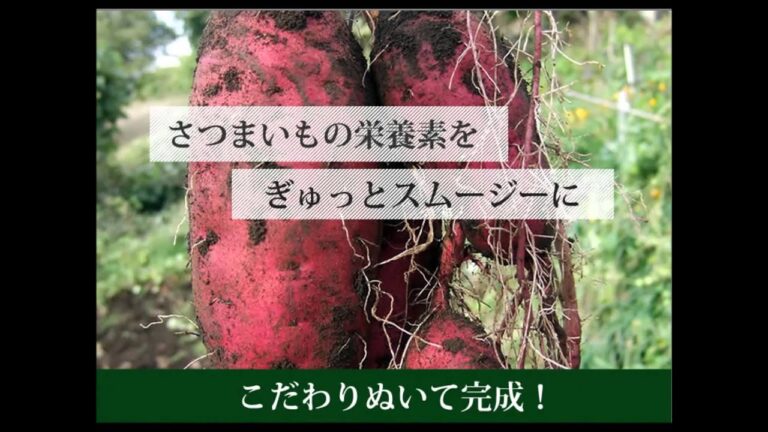 食物繊維たっぷり、ダイエット女子の為の 朝さつまいもダイエットスムージー購入・通販・口コミ・効果・評判