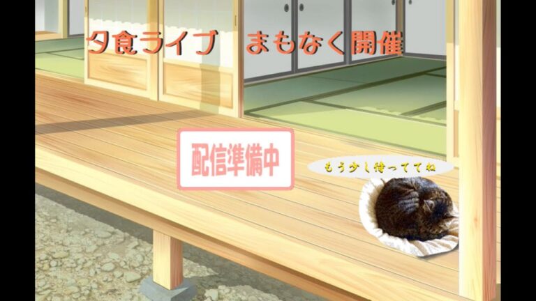 夕食ライブ　ちらし寿司　ぺぱらん、りぃや、猫P、猫AD、モッパン