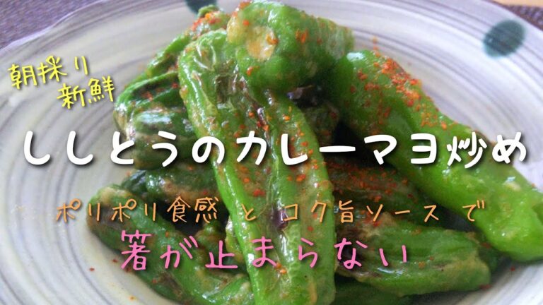毎日ごはん【ししとうのカレーマヨ炒め】作り☆ ビールがすすむ！ 絶品おつまみ！ 朝採り新鮮ししとうのカレーマヨネーズ炒め！