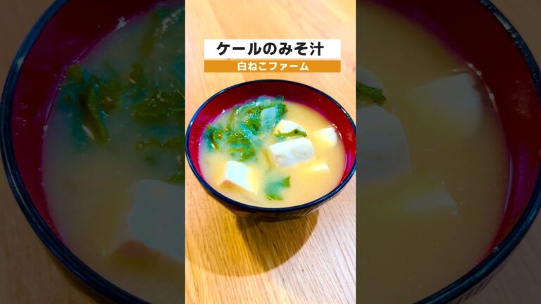 ケールの味噌汁をご紹介します！！#禅農法　#農業　#美味しい野菜　#野菜　#野菜作り#微生物　#菌　#循環　#有機物#無化学肥料　#無農薬　#農薬不使用#ケール#ケールの味噌汁#カーリーケール