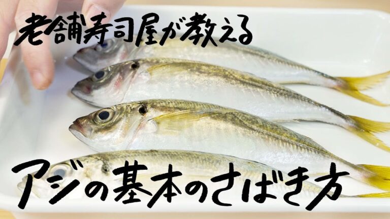 【創業80年の老舗寿司屋が教える】アジの下処理から捌き方「三枚おろし・背開き」の方法｜刺身｜アジフライ【松寿司・野本やすゆき】｜クラシル #シェフのレシピ帖