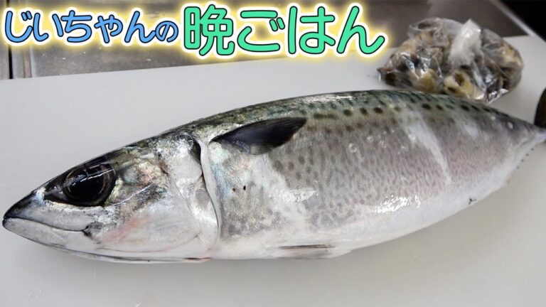 【爺ちゃんの晩ご飯】特大サバを捌いて、サバの味噌煮と酢サバを作ったよ！