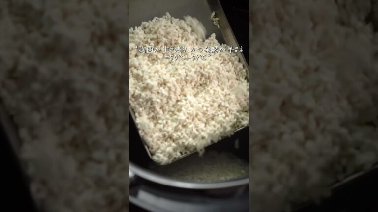 【塩麹】これは革命！一晩でできる万能な自家製塩麹の正しい作り方！