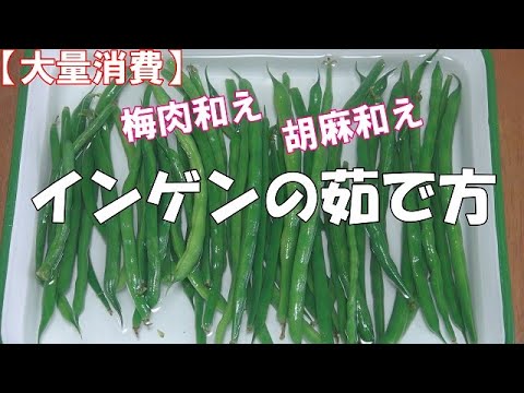 【大量消費】インゲンの茹で方『梅肉和え、胡麻和え二品を作りました』Let's eat season's food