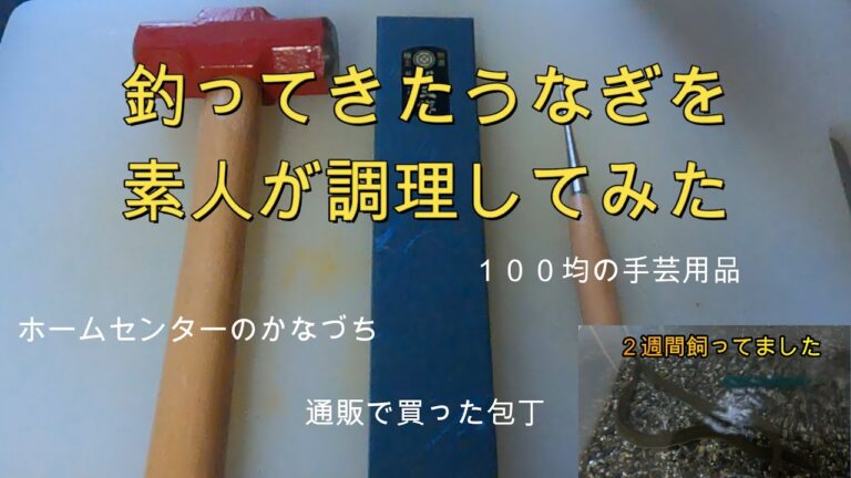 釣ってきたうなぎを調理してみた
