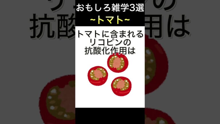 【雑学3選】トマトの面白い雑学【いくつ知ってる？】 #shorts #雑学 #トマト
