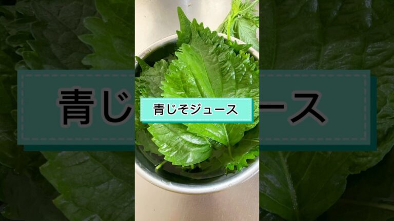大葉大量消費✨青じそジュース