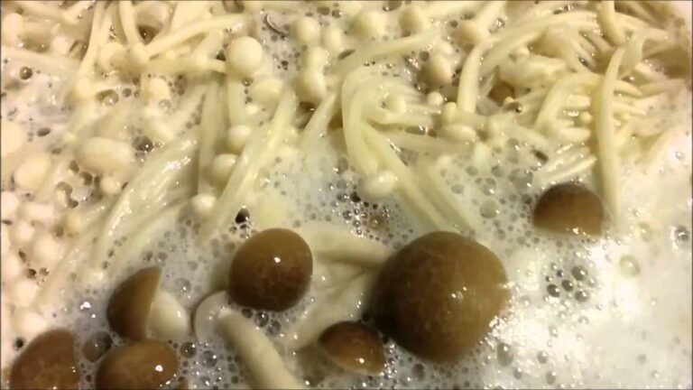 ぶなしめじとえのきだけでガンにならない身体を作る