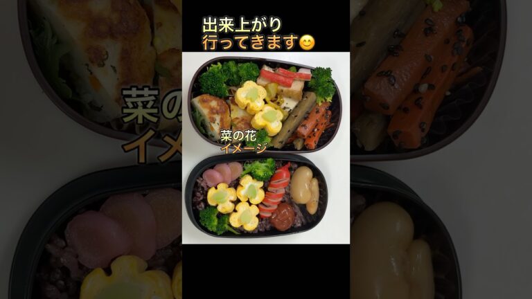 今日のお弁当   菜の花形卵焼き    #お弁当   #shorts