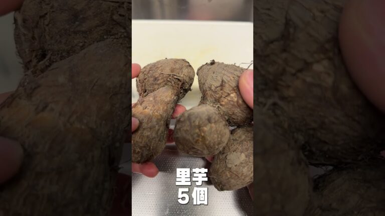 甘い筑前煮って美味しいよね#shorts