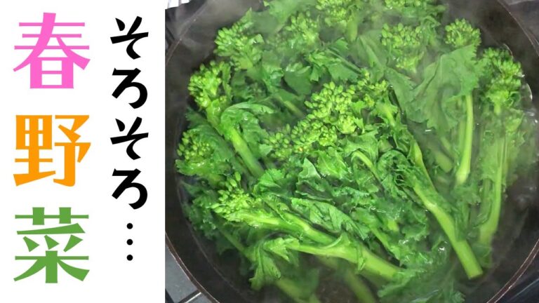 春の野菜がスーパーに…菜の花の簡単レシピ！やっぱりツーンとするあの味に！？