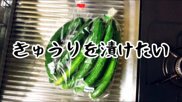 めっちゃ簡単にできるきゅうりの漬物を作ってみた